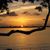 Susan Eanes's profile image