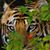 Eddy Giarso's profile image