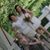 Vicki Nash Barnhill's profile image
