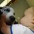 Lisa Shinneman's profile image