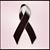 Anelsa Bencosme de Salas's profile image