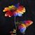 Julie Grant's profile image