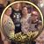 Linda Smith's profile image