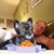 Lancelot Linenberger's profile image