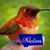 Kim Sauer-Mikesell's profile image