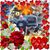 David Bozarth's profile image