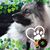 Barb Ahearn's profile image