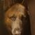 Laura Lawson's profile image