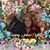 Susan McKay's profile image