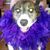 Michelle Saffa Burkes's profile image
