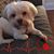 Linda Hollingsworth's profile image