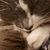 Karen Nadine Placek's profile image