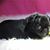 Barbara Schultz's profile image