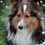 Daisy Reeves's profile image