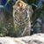 Donna Green's profile image
