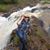 Nena Galindo's profile image