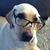 Blake Shinpaugh's profile image
