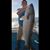 Robert Coonan - Taylor's profile image