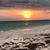 Gail Halsey Dreis's profile image