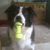 Joyce Hope's profile image