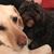 Sheila Gravenstede's profile image