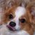 Jackie Popp Arkansas's profile image