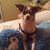 Cheryl Traczenski Williams's profile image