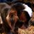 Barb Stone-Morris's profile image