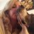 Juli Jacoby's profile image