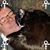 Dawn Elwood's profile image