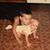 Corey Wimmer's profile image