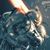 Devon Lesmeister's profile image