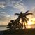 Brenda McLeod Hans's profile image
