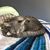 Heather McElyea's profile image