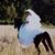 Anita Stuart Vermilyea's profile image