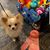 Beverly Baldridge Granberry's profile image