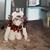 Katy Kalman's profile image