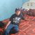 Jorge Calderon P's profile image