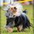 Donna Morgan Hitz's profile image