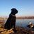 Denise Boyers Ellis's profile image