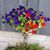 Rojean Tibor Becker's profile image