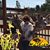 Stephani Bertrand Francoeur's profile image