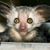 Barbara Hibberd's profile image