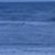 Dianne Tart Thornton's profile image