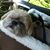 Catherine Sumsky's profile image