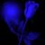 Kevin Michael Joseph Sr.'s profile image
