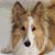 Donna M Stuart's profile image