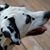 Marty Kivett Richardson's profile image