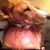 N Bryan Mack's profile image