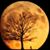 Pat Toups's profile image